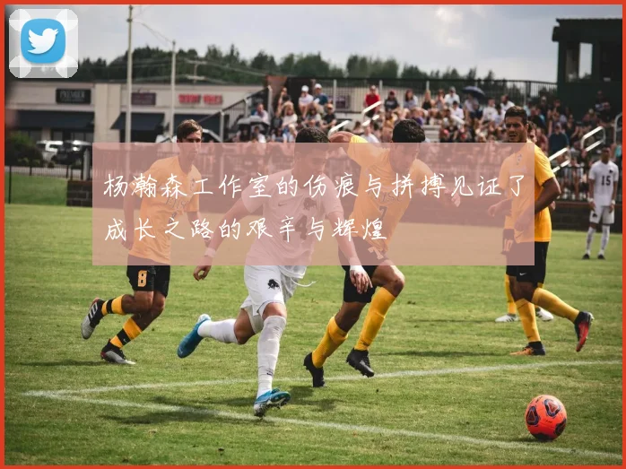 杨瀚森工作室的伤痕与拼搏见证了成长之路的艰辛与辉煌