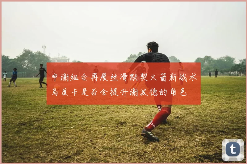申谢组合再展丝滑默契火箭新战术乌度卡是否会提升谢泼德的角色