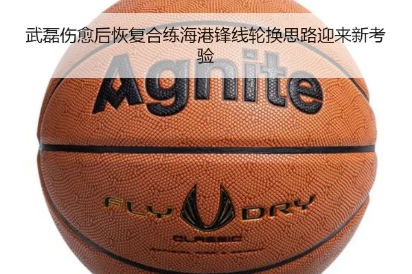 武磊伤愈后恢复合练海港锋线轮换思路迎来新考验 - milan